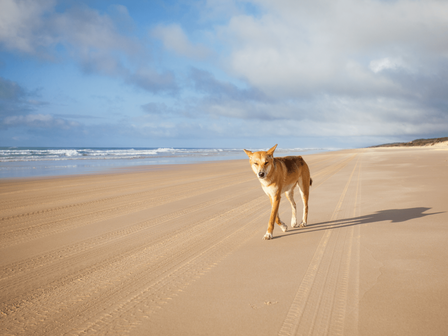 Best Camping Spots SouthEast Queensland Outbound Adventure